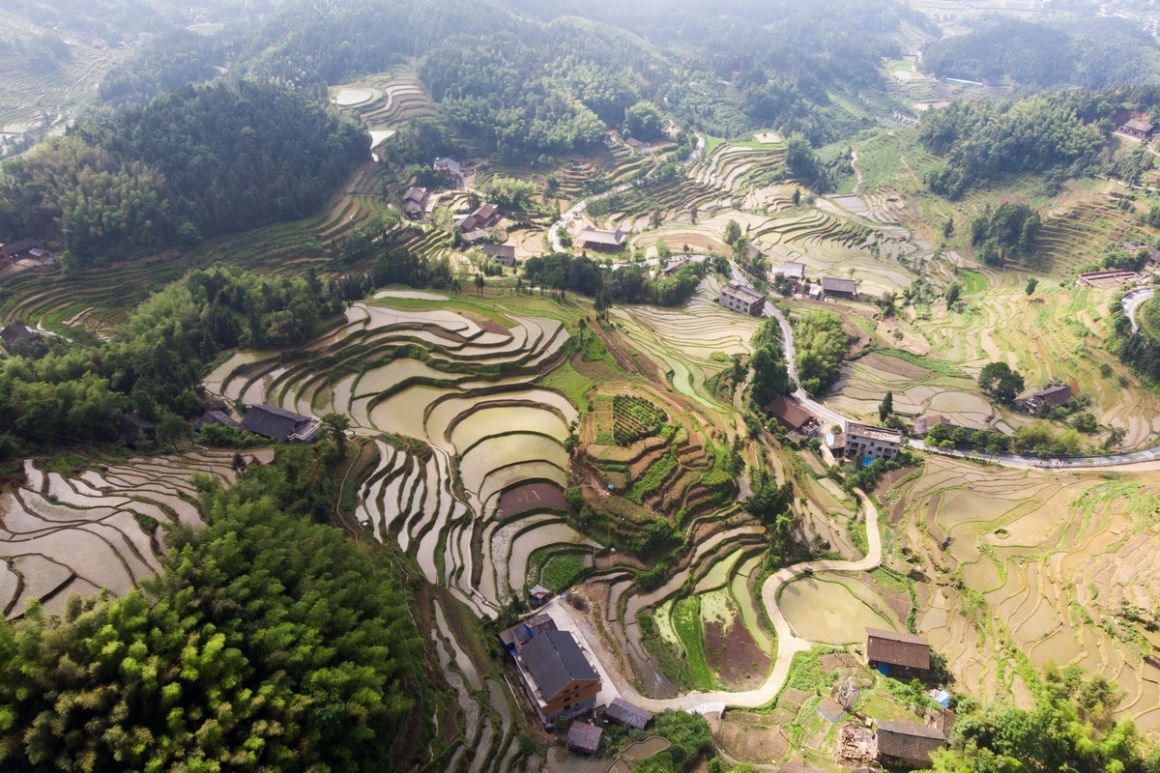 紫鹊界梯田正式入选“全球重要农业文化遗产”
